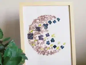 Atelier herbier Péi encadré