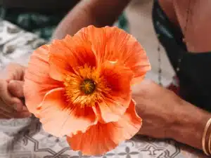 Atelier de confection de fleurs durables en papier